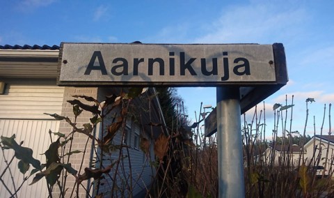 Aarnikuja