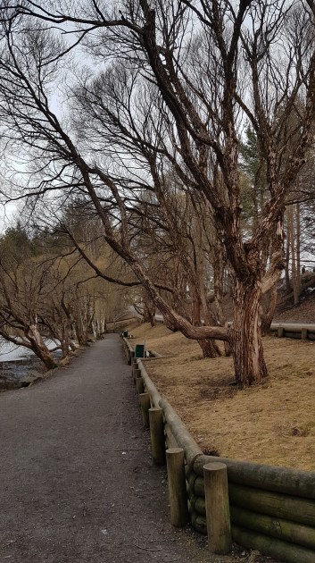 ahvenisraitti puisto