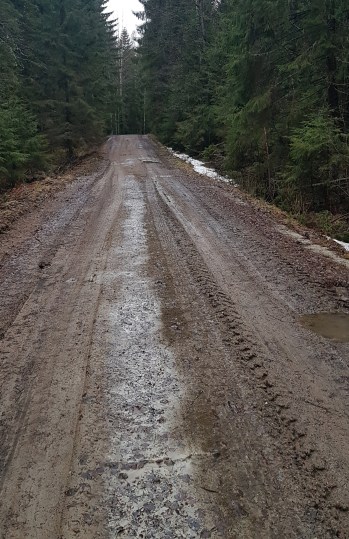 ahvenjärventie kuraa