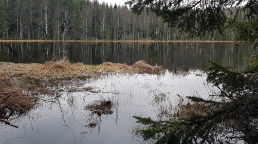 ahvenjärvi