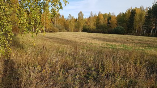 aitainmäenranta pelto