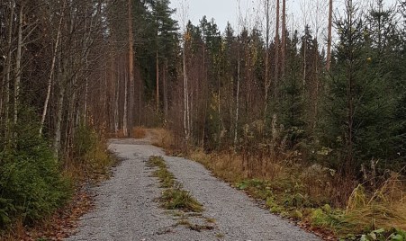 aitokalliontie mutka