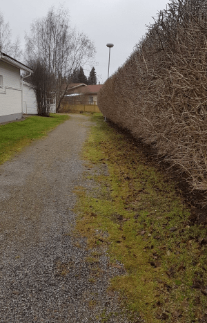 aitoniitynpolku kokonaan