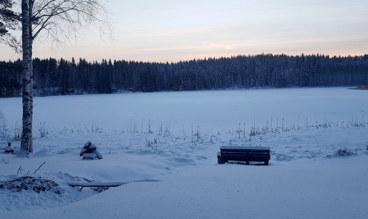 alasuoniementie_ranta