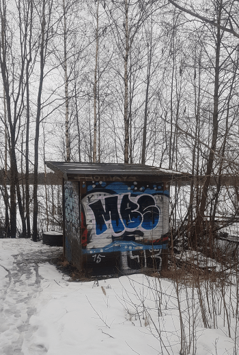 alasjärvenranta koppi