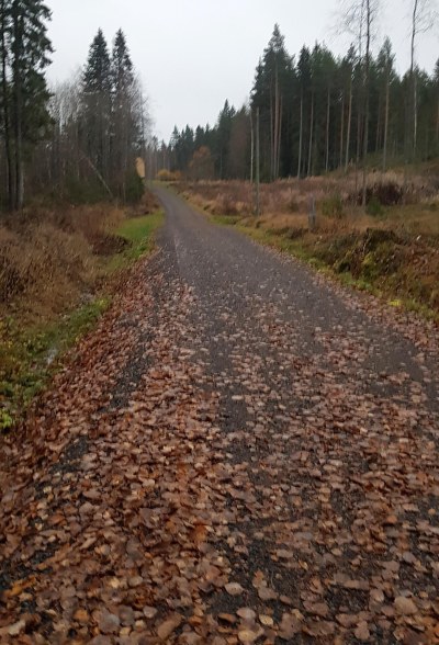 antilanvainiot alusta