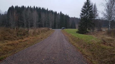 antilanvainiot lopusta