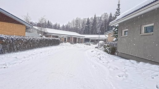 Arontaustankadun pyry