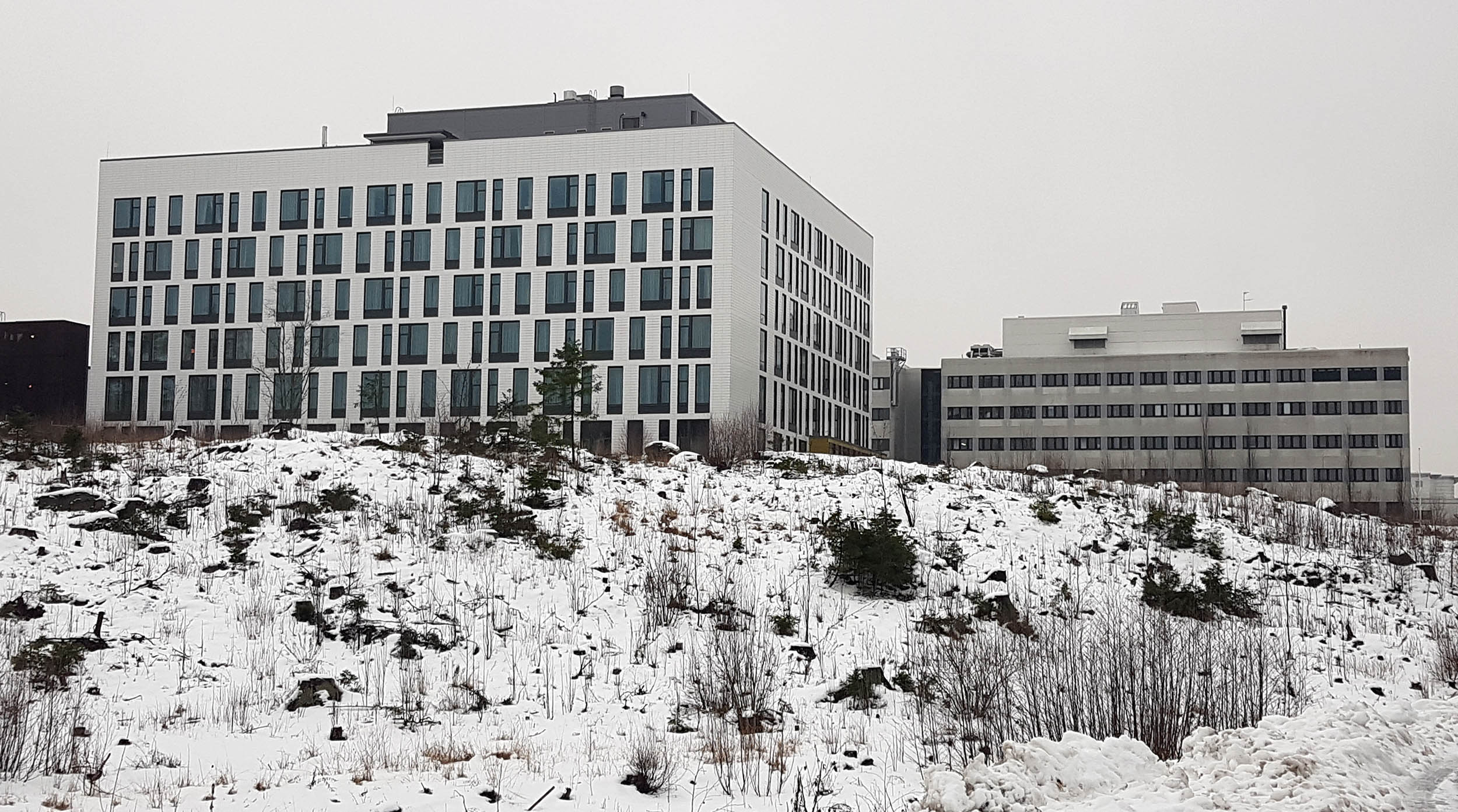 arvo ylppö takapiha